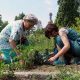 Zwei Frauen bei der Gartenarbeit